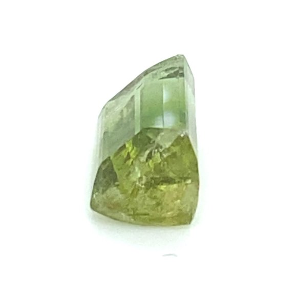 BiColor Tourmaline 9.20ct - Picture 8 of 8